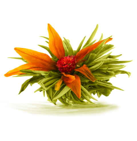 Tiger Lily Teerusuke